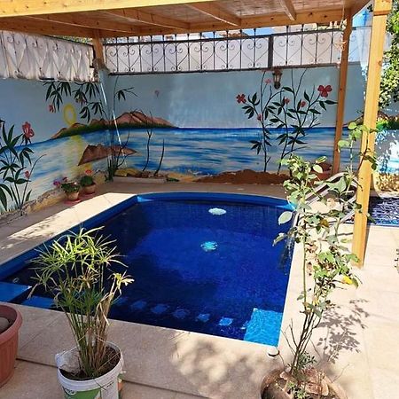 Villa Louise Guest House Luxor Exterior photo
