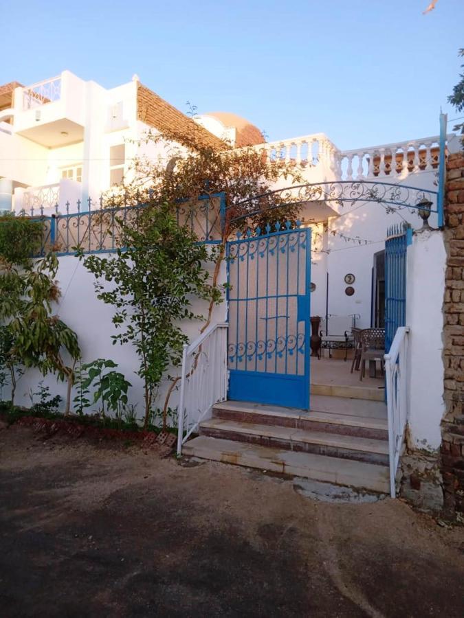 Villa Louise Guest House Luxor Exterior photo