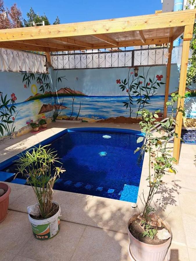 Villa Louise Guest House Luxor Exterior photo